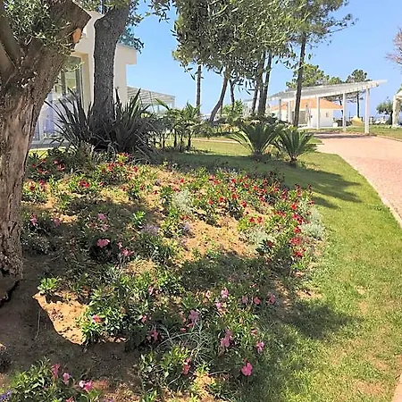 Отель Tui Blue Tropea